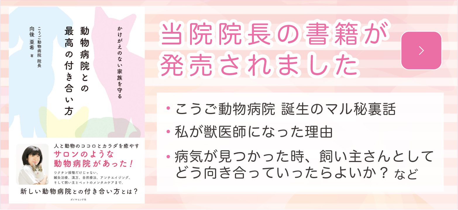 かけがえのない家族を守る 動物病院との最高の付き合い方