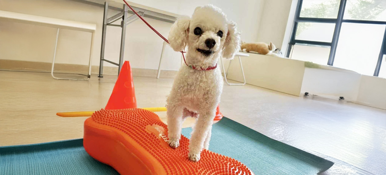 アンチエイジング科