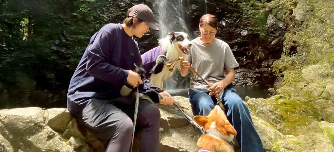 人と動物のメンタルヘルス科