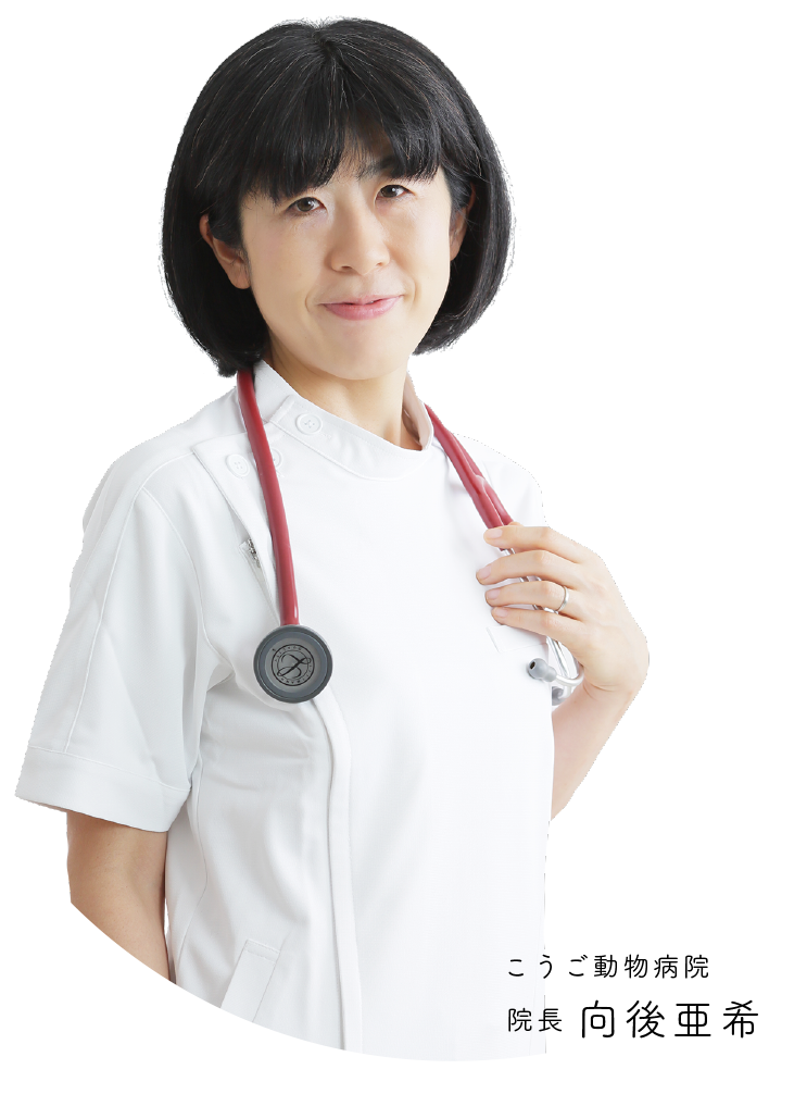 こうご動物病院 院長 向後亜希
