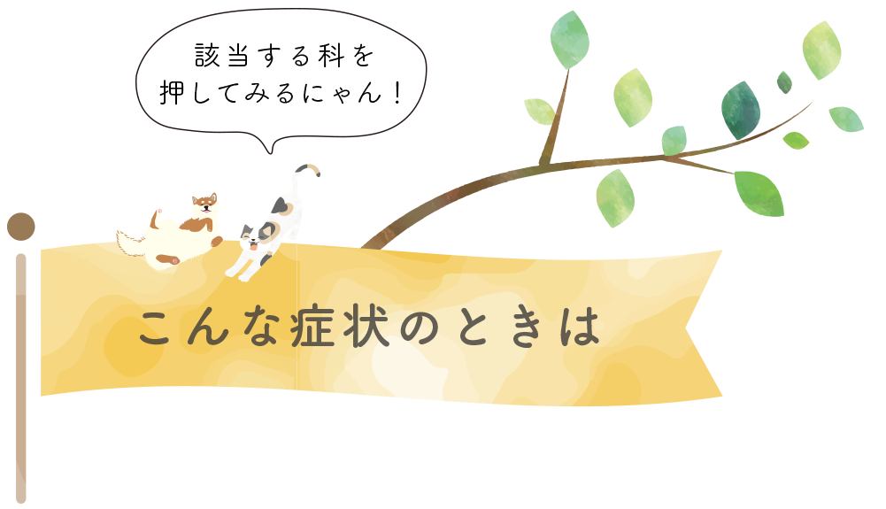 こんな症状のときは