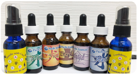 人と動物のメンタルヘルス科