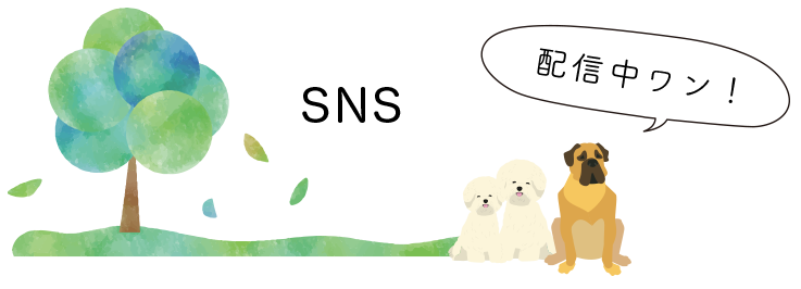 SNS 配信中ワン