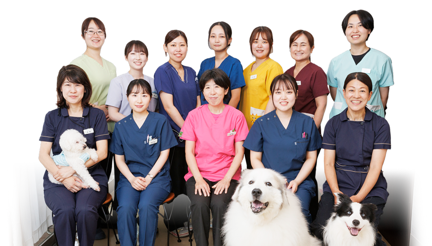 多摩市の動物病院【こうご動物病院】集合写真