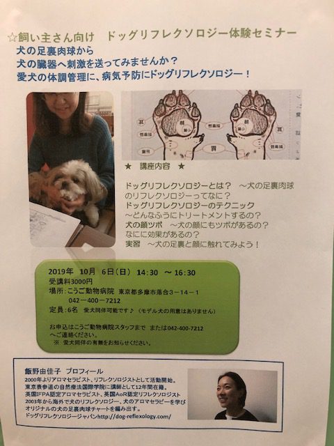 10月獣医師出勤カレンダー セミナーお知らせ こうご動物病院 多摩市 多摩センター